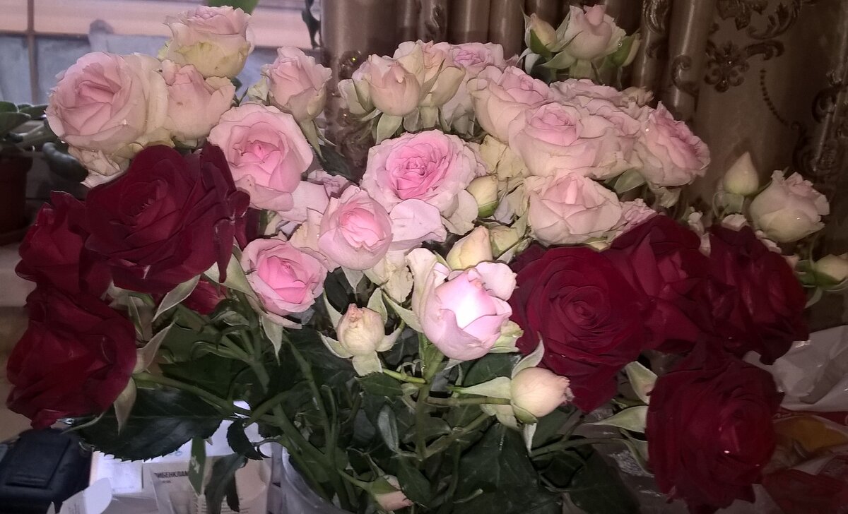 Розы - Елена Семигина Розы - Елена Семигина