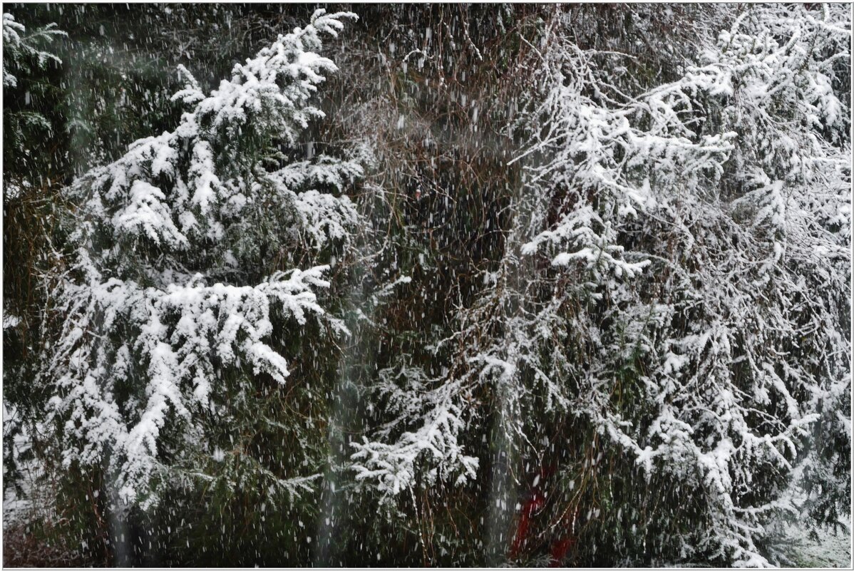 ЭТЮД... - Elvira E. 