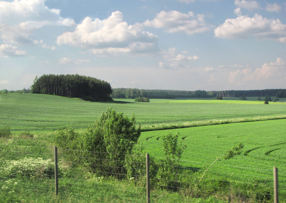 Вблизи деревни Юльтакюля (Yltäkylä) - Александр Ильчевский 