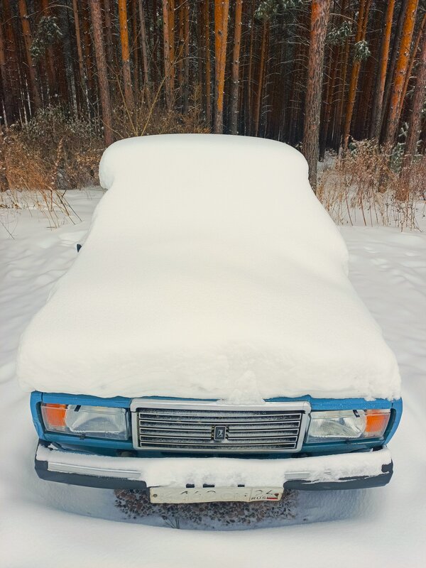 Снеговик.. - Василий 