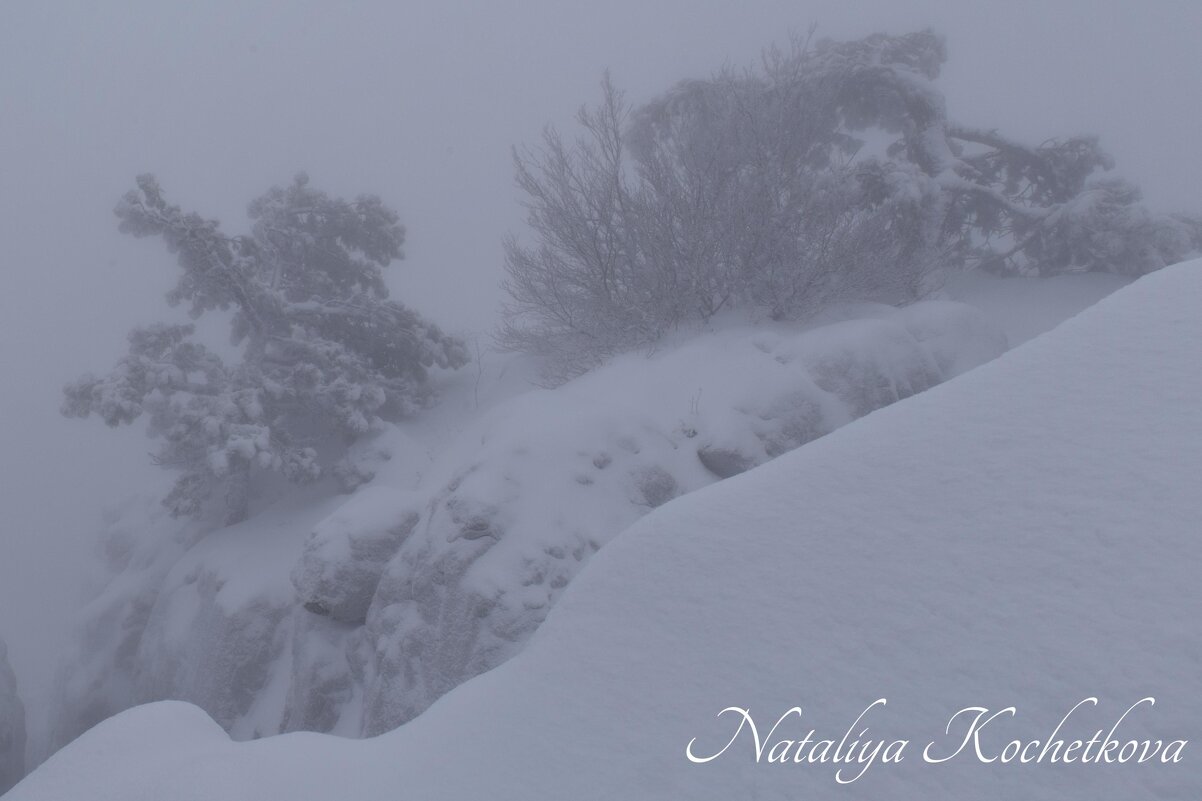 Природа Крыма - Amazing Cosmea