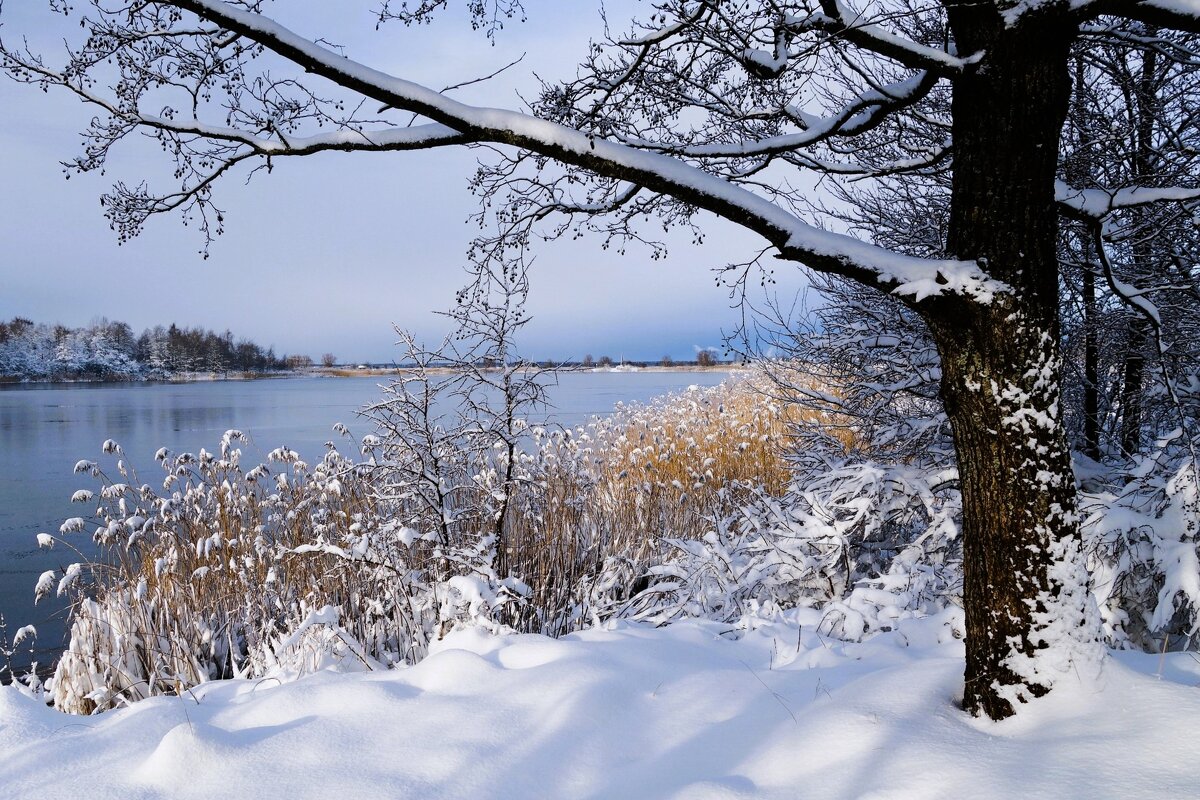 В окрестностях Калининграда - Рита Симонова