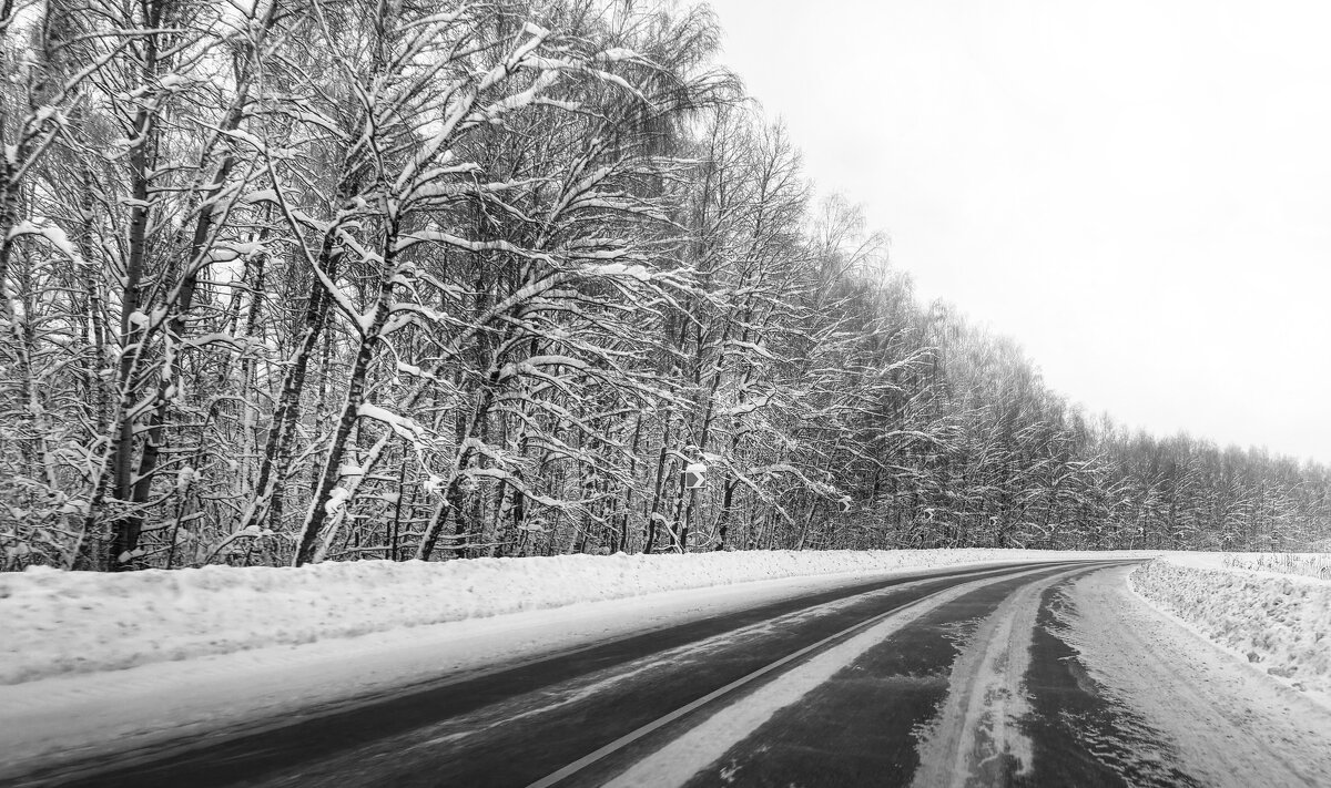 зимняя дорога (Ч/Б) - Андрей Андросов