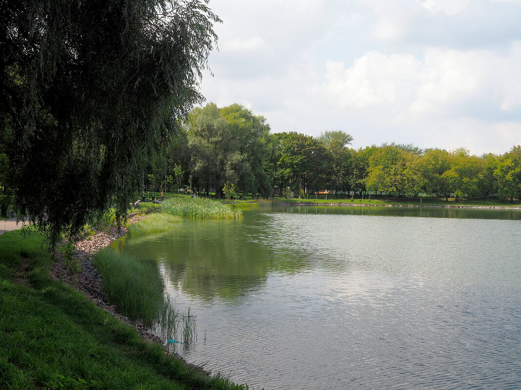 В городском парке - Игорь Белоногов