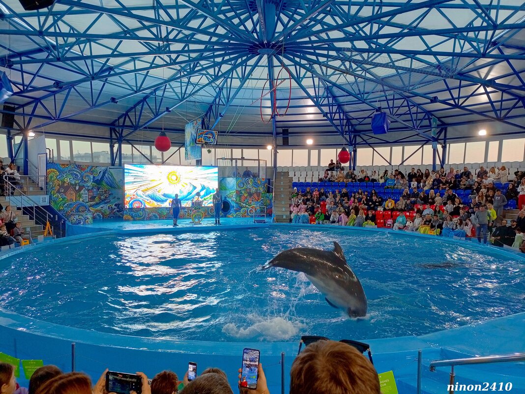 Адлер. Сочи Парк... шоу дельфинов... - Нина Бутко