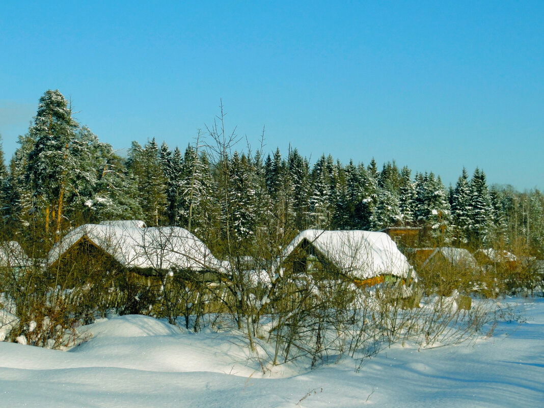 Русская зимушка - Ольга 