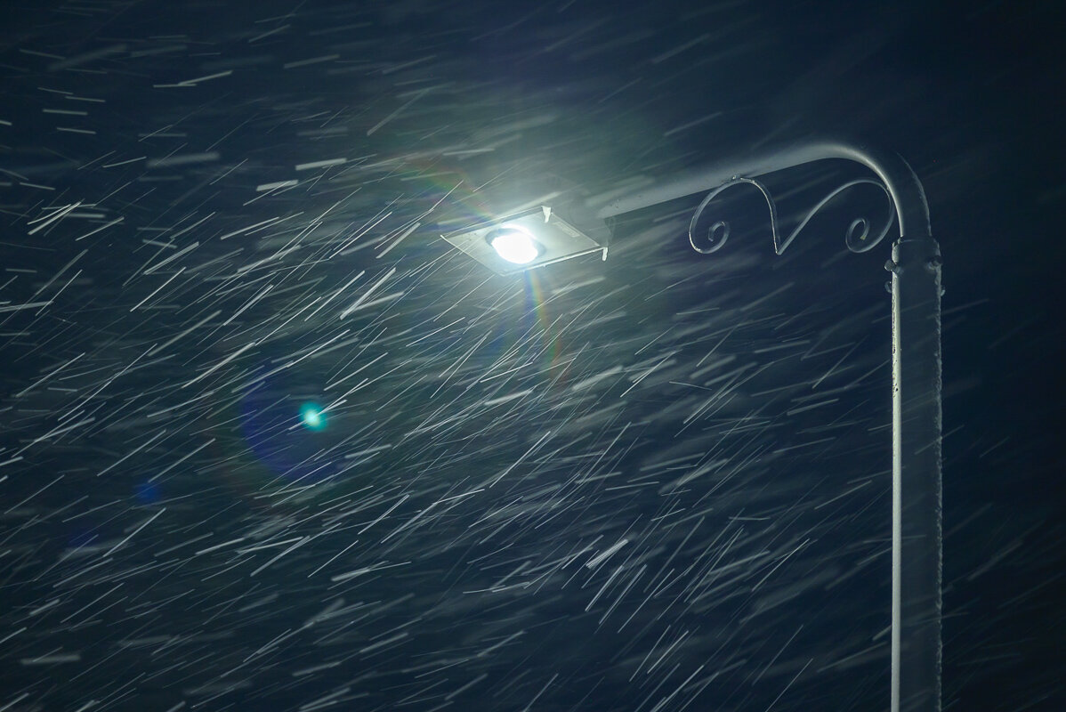 ... - Жора Житников