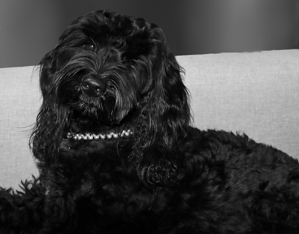 Туча проснулась - Светлана 