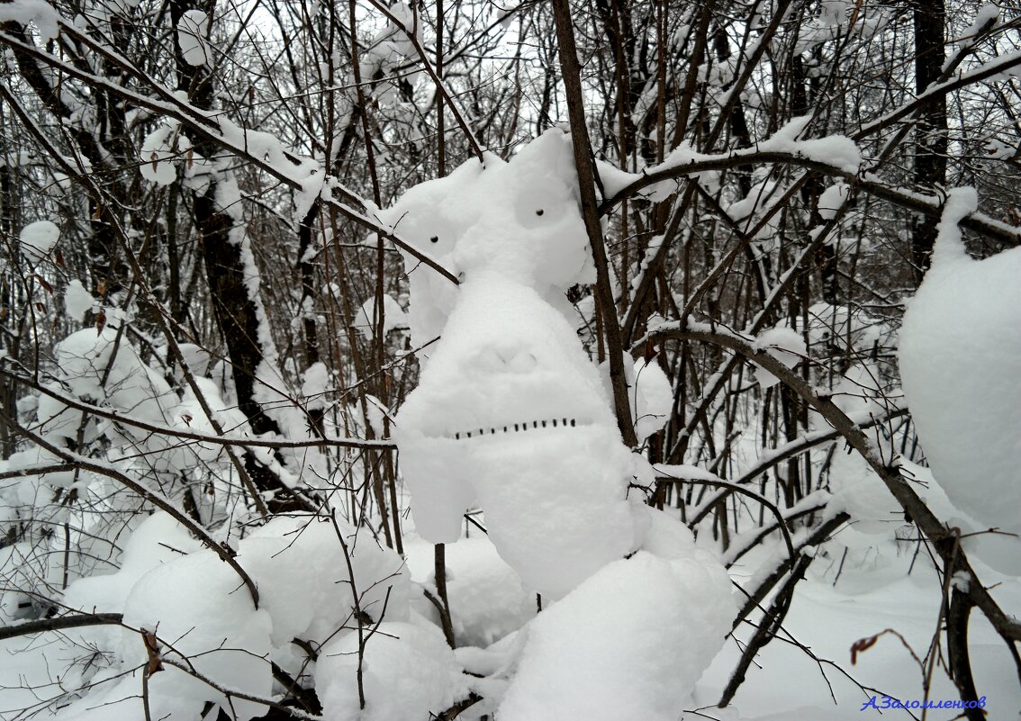 Из жизни снежариков...:-) - Андрей Заломленков
