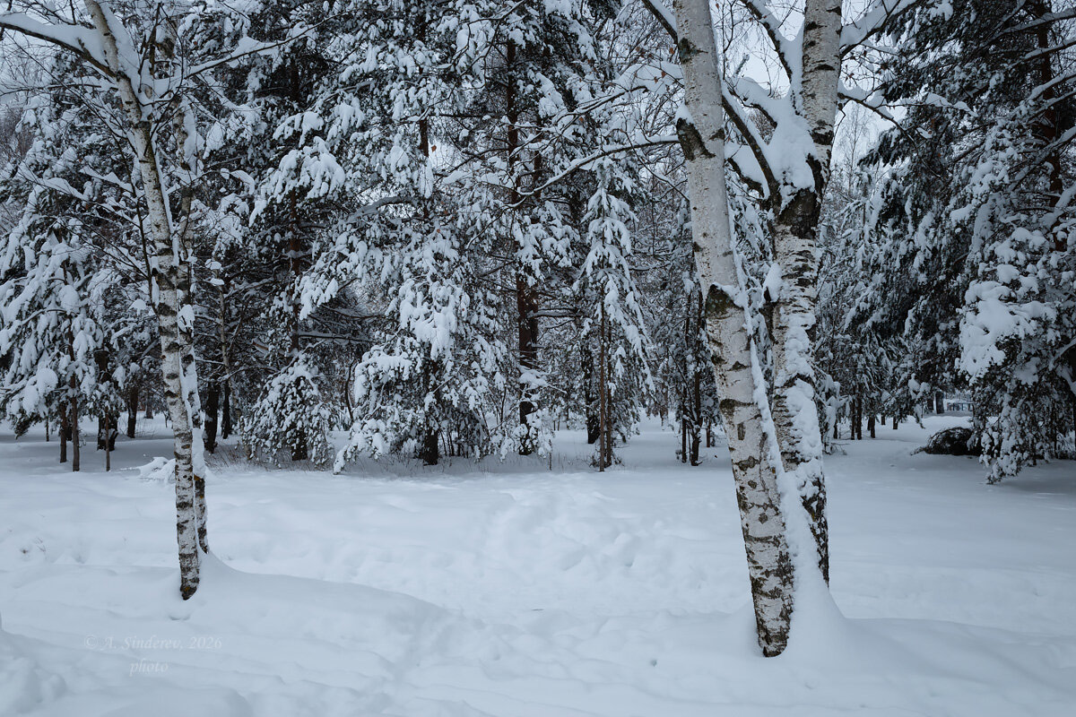 Снежный пейзаж - Александр Синдерёв