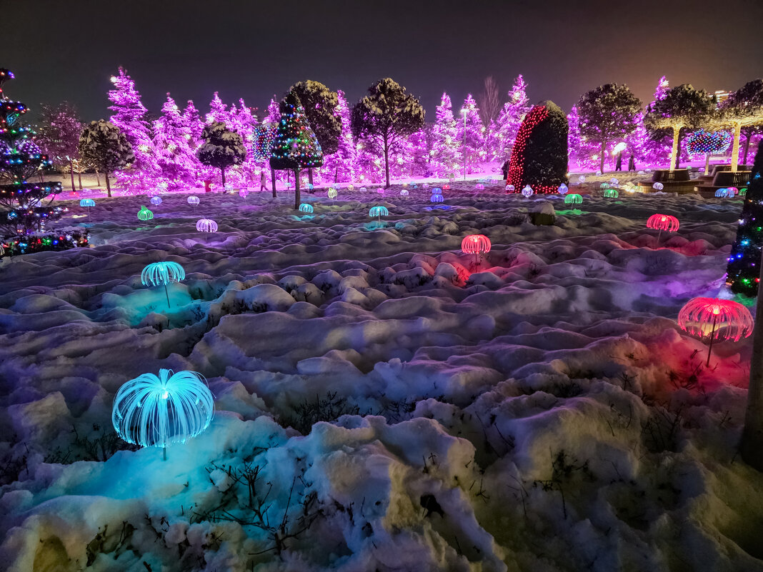 парк Галицкого - Ольга Косачова