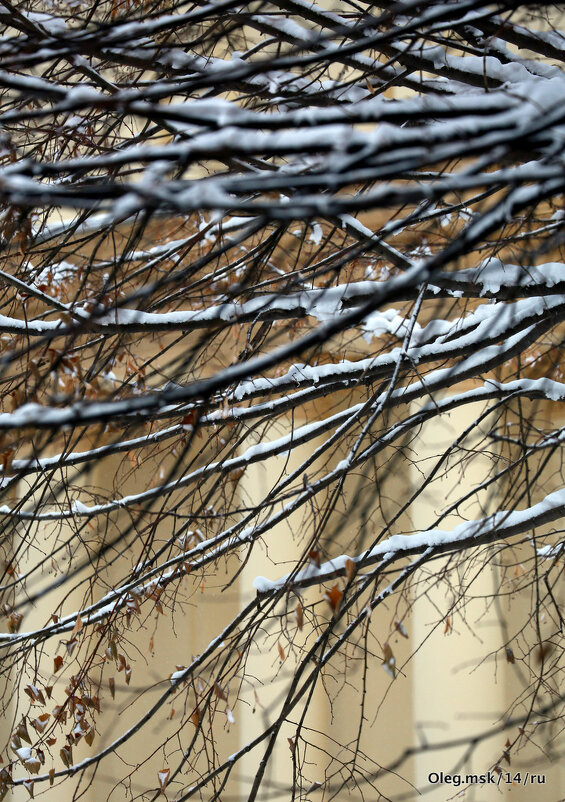 оттенки зимы - Олег Лукьянов