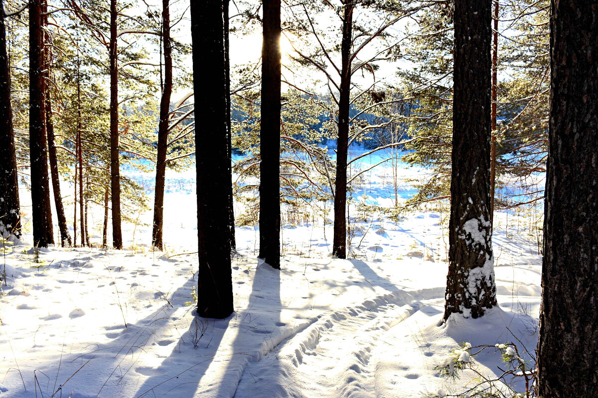 *** - Александр 