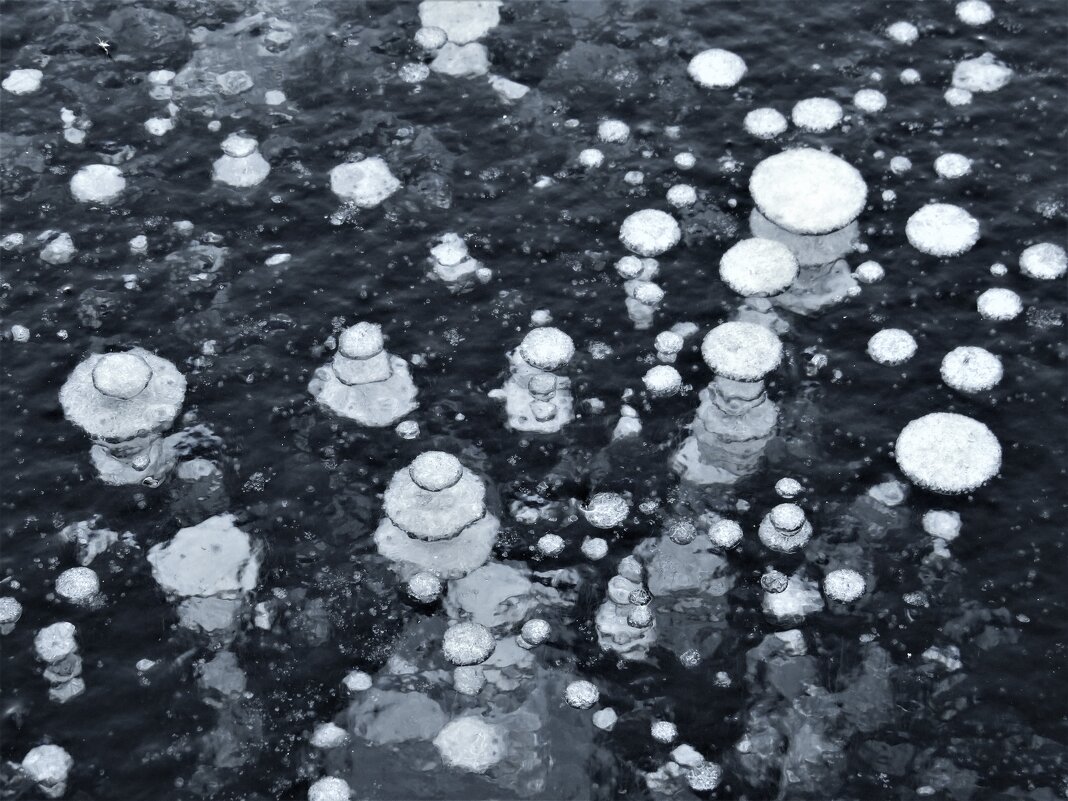 Пузыри - Ольга Митрофанова Пузыри - Ольга Митрофанова