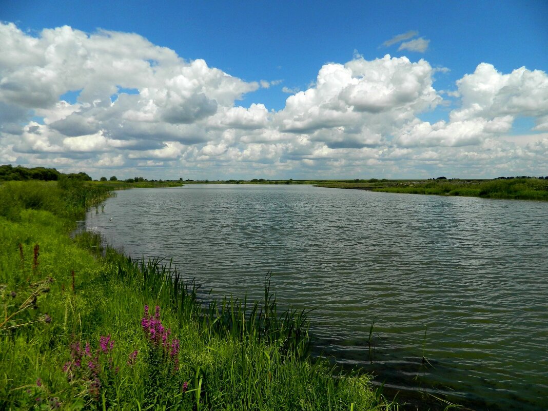 ИЮЛЬ. ДЕРЕВЕНСКИЙ  ПРУД. - Галина 