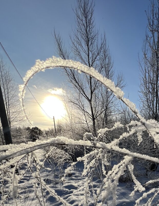 Зимнее волшебство - Дмитрий Радионов Зимнее волшебство - Дмитрий Радионов