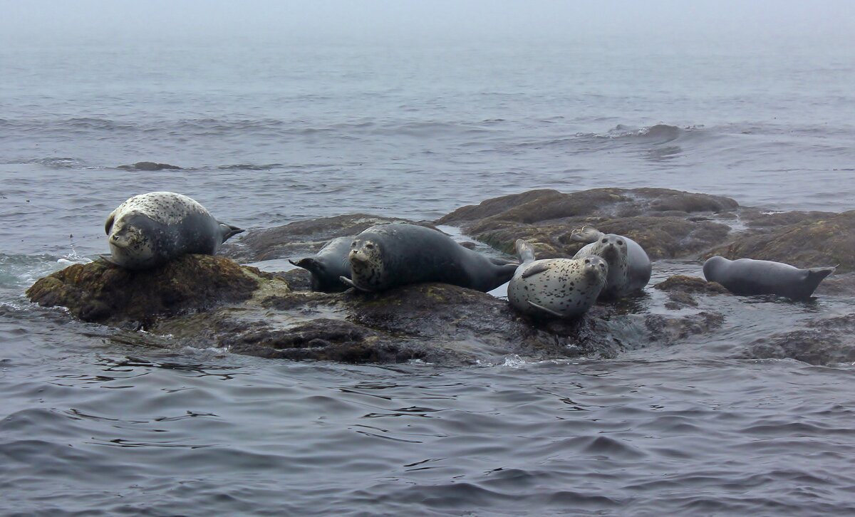 Небольшая площадь - Владимир Соколов (svladmir)