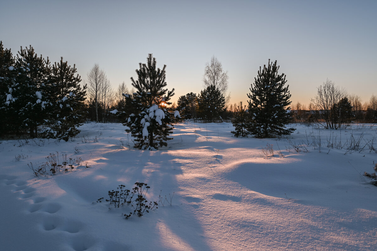 скользит по снегу закатный луч - сергей 