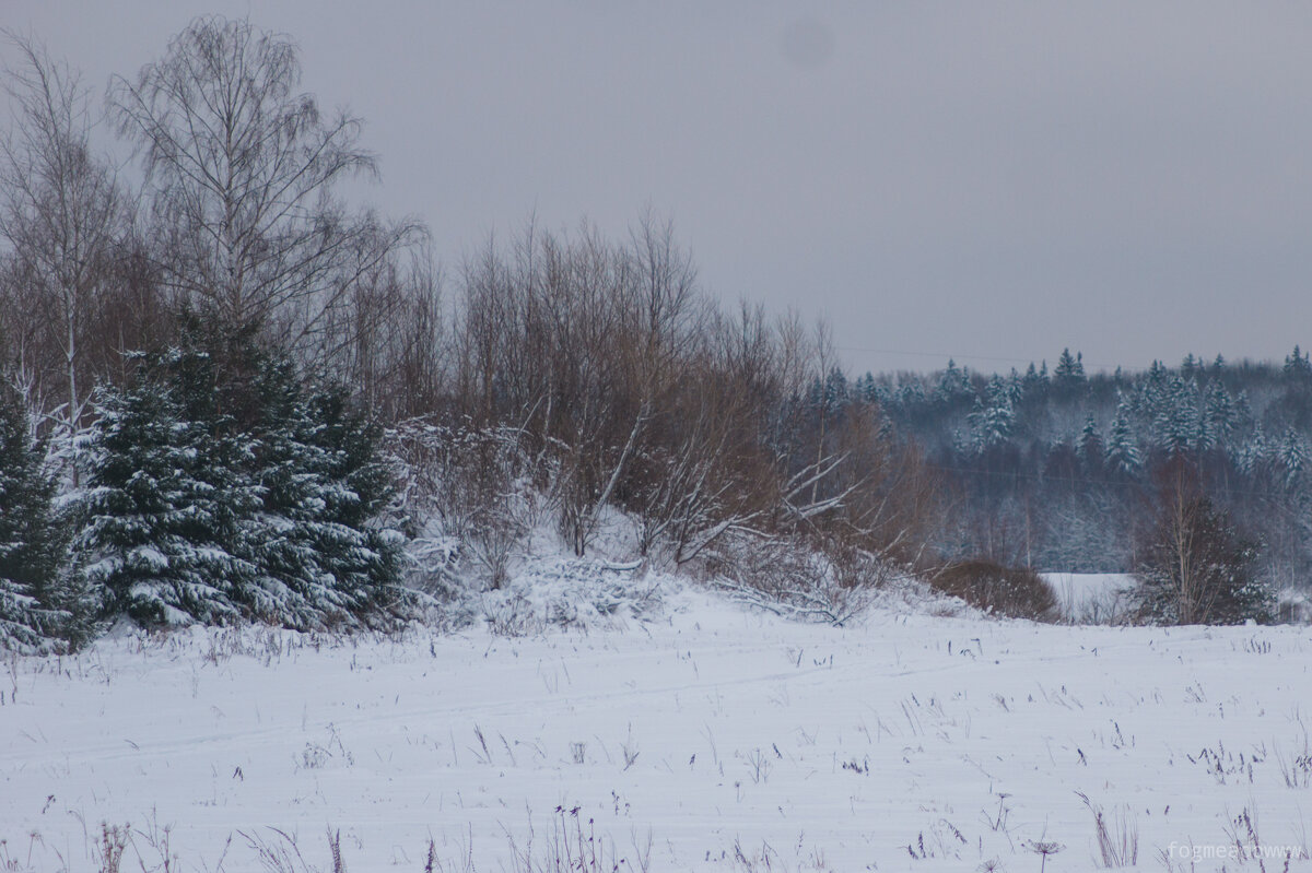 Зимний лесной край - fogmeadowww m
