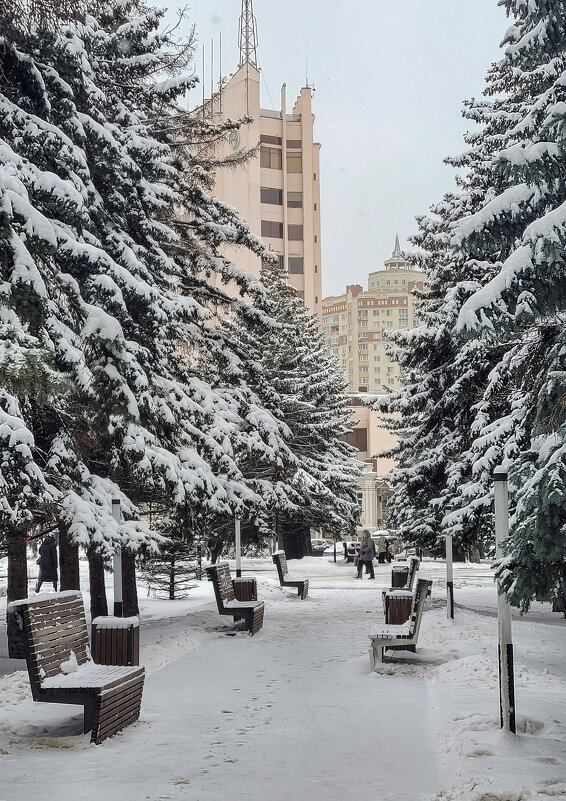 Зимы чудесные мгновенья - Татьяна Машошина