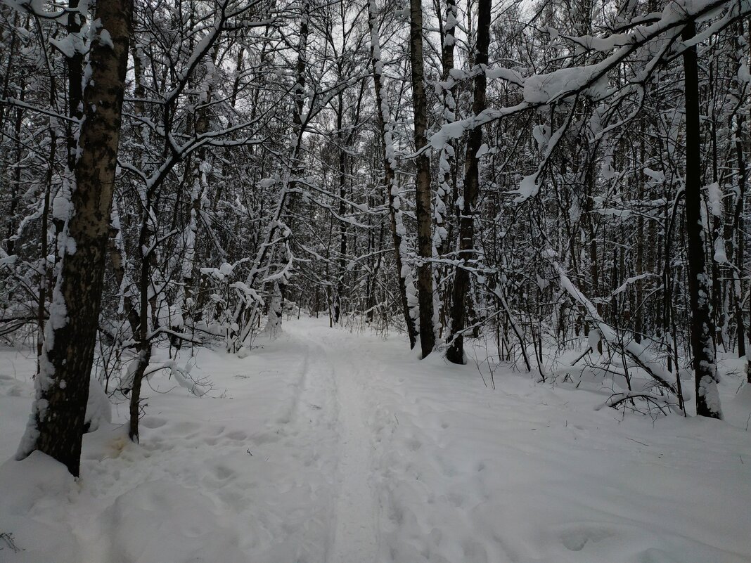 Сезон нецветной фотографии продолжается - Андрей Лукьянов