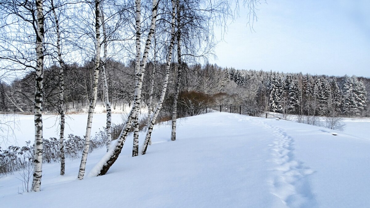 Зима в январе. - Милешкин Владимир Алексеевич 