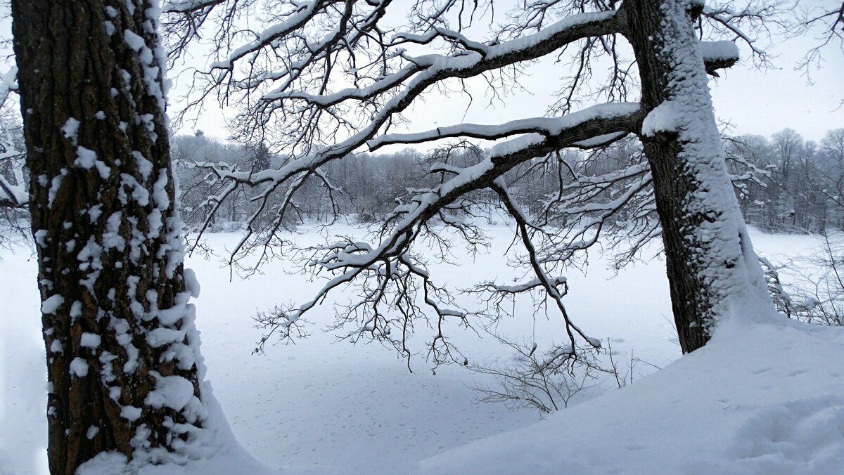 Зима в январе. - Милешкин Владимир Алексеевич 