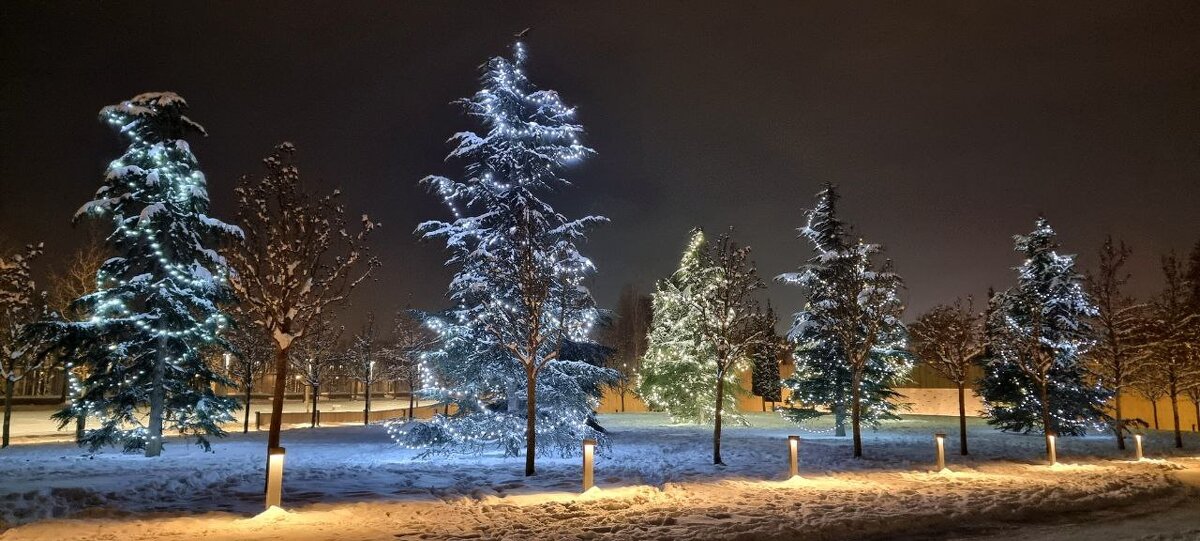 Парк Галицкого, Краснодар. - Екатерина Леш