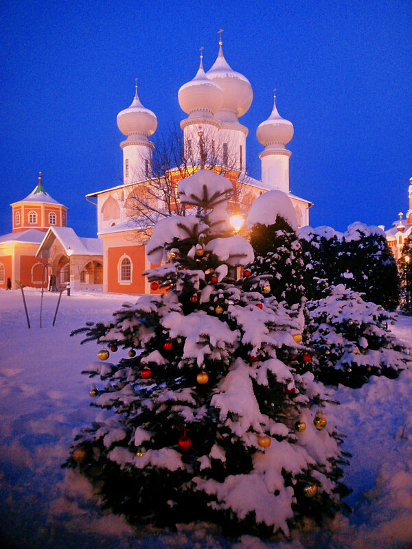 В рождественский сочельник - Сергей Кочнев