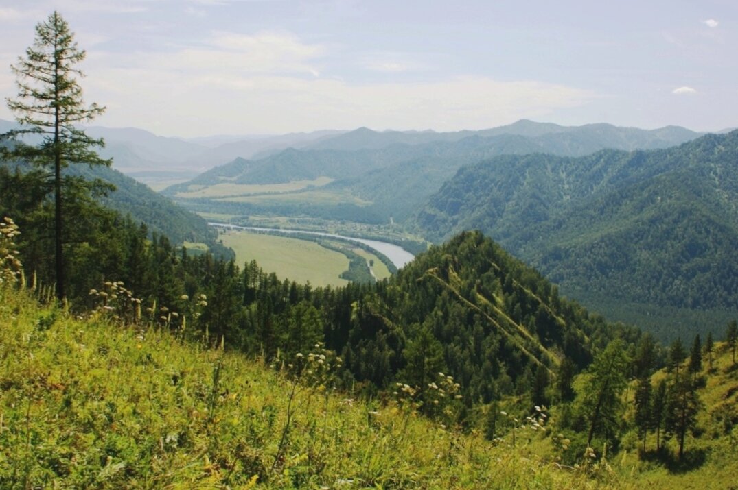 Алтай. Туман в горах - Галина Нестратова