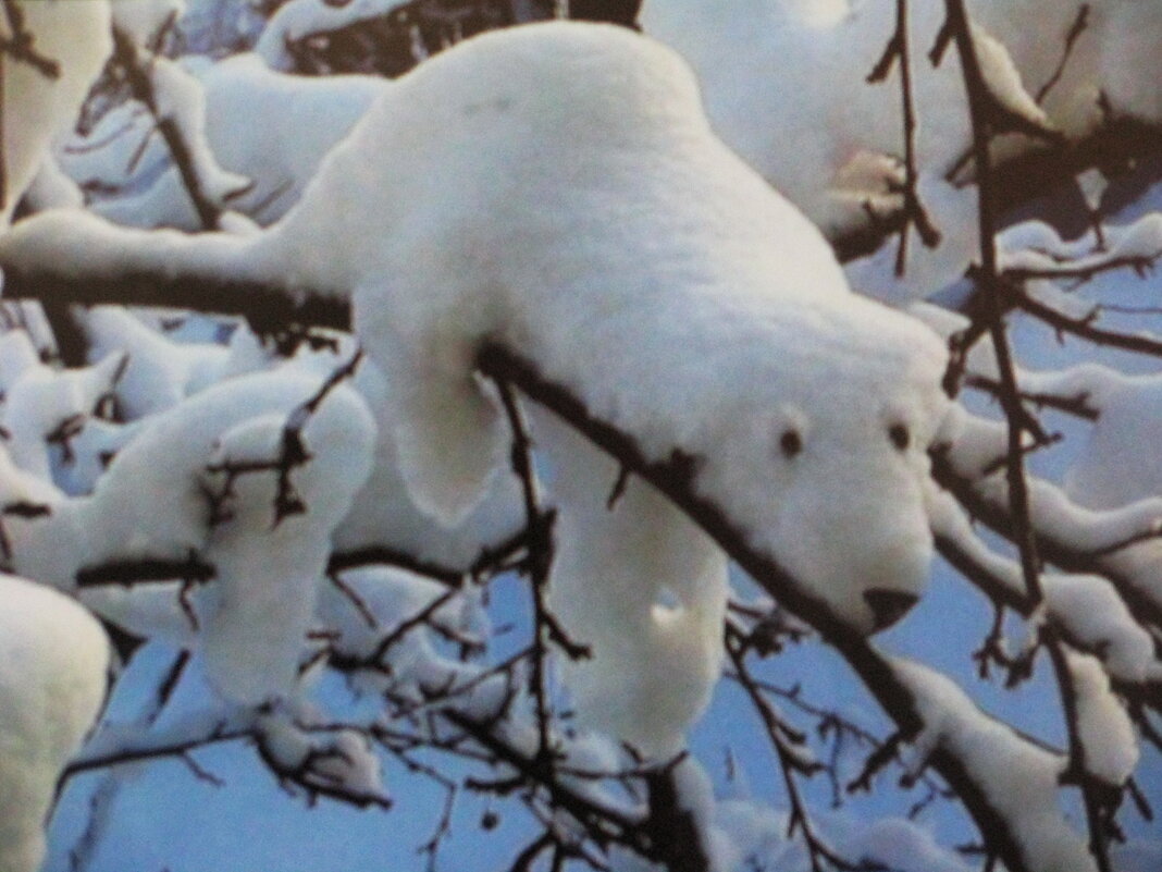 Отдыхает - Людмила Смородинская
