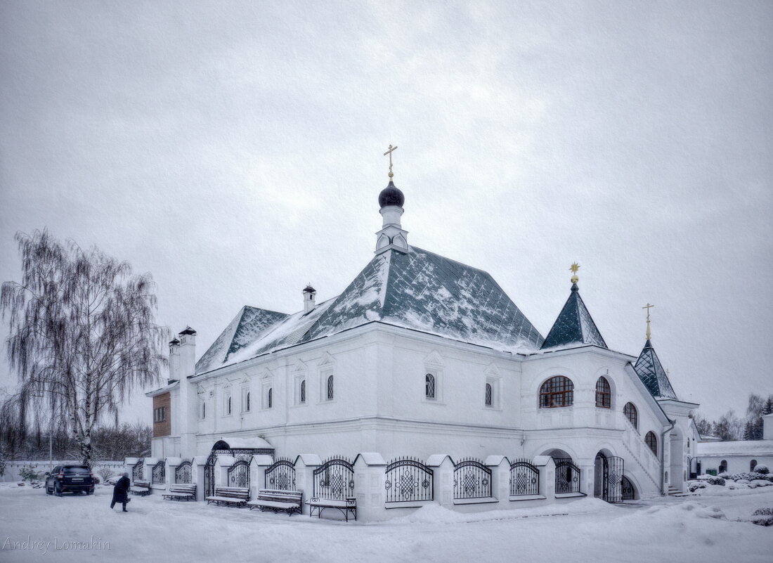 Храм Василия Рязанского - Andrey Lomakin