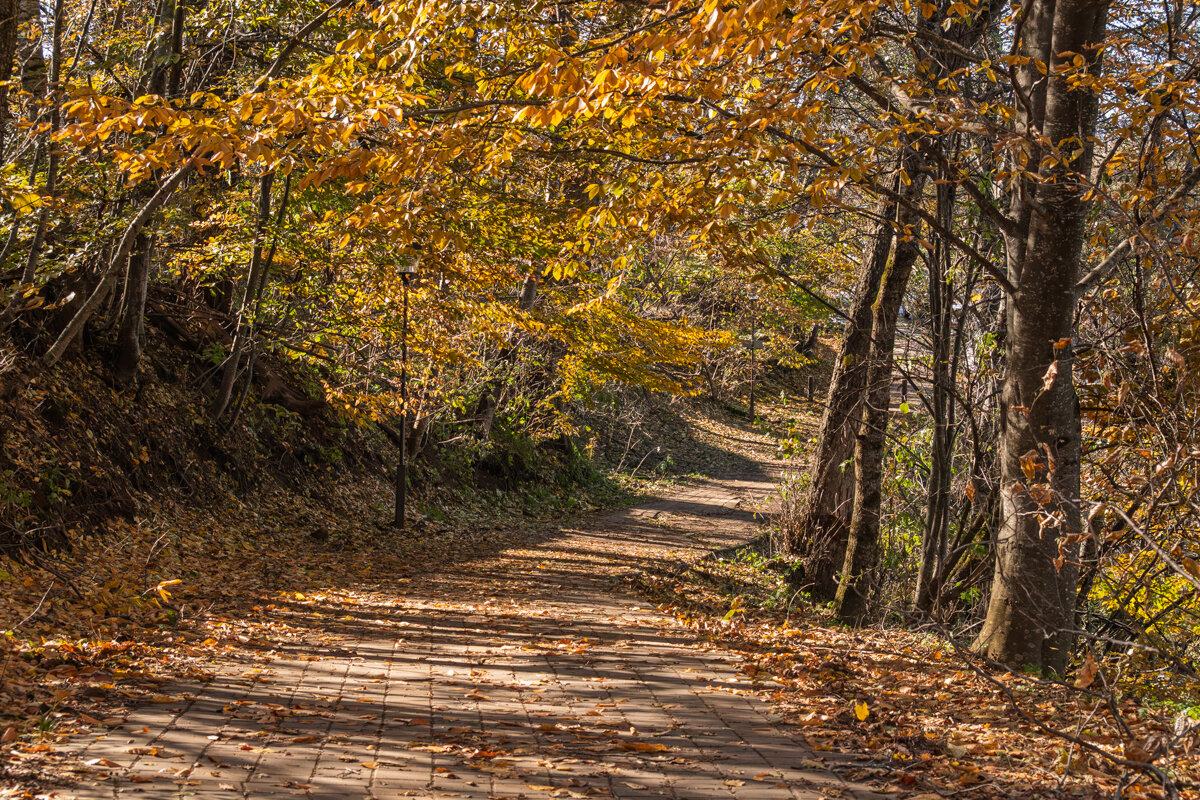 Осень в Адыгее - Игорь Сикорский