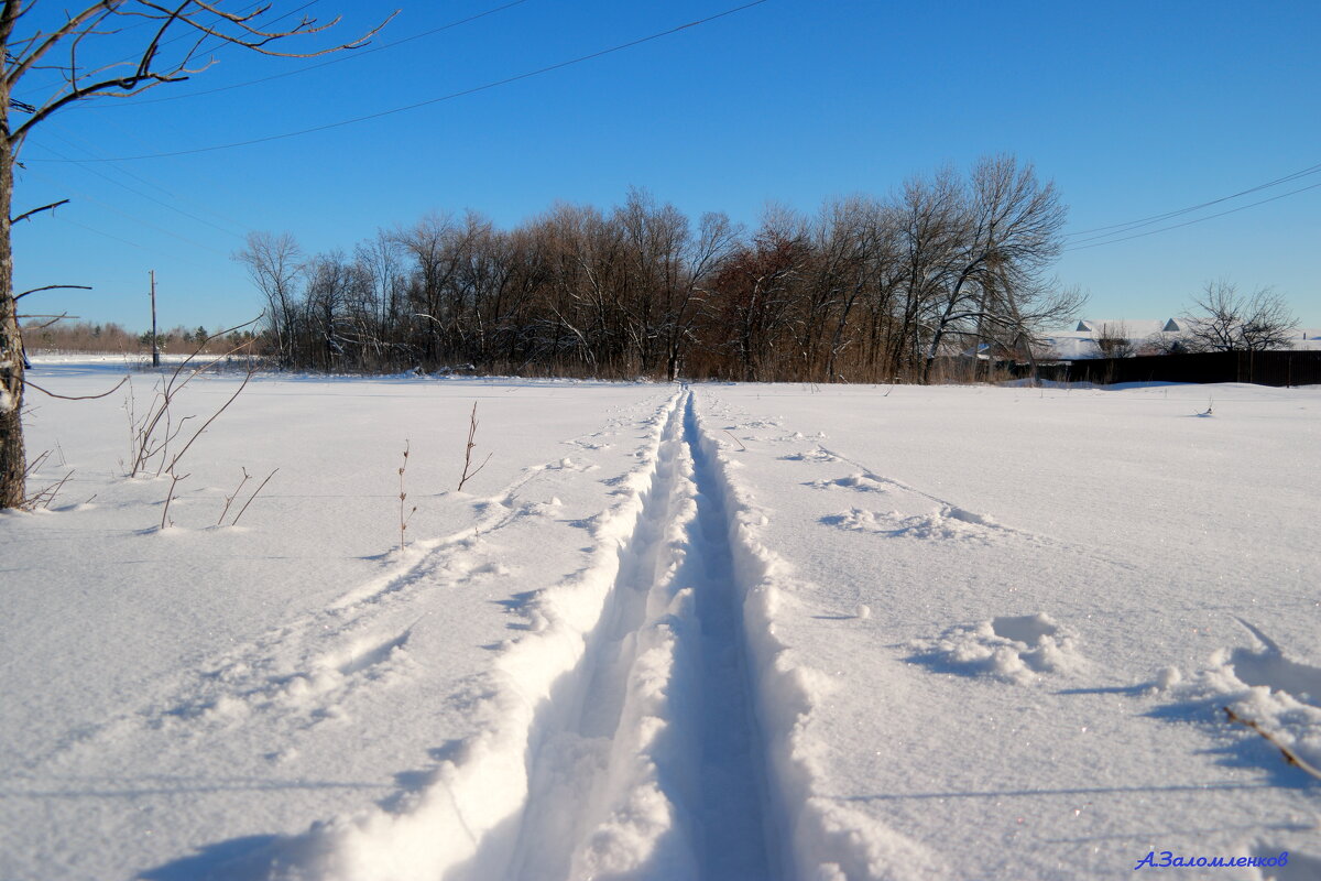 Про новогодние прогулки... - Андрей Заломленков