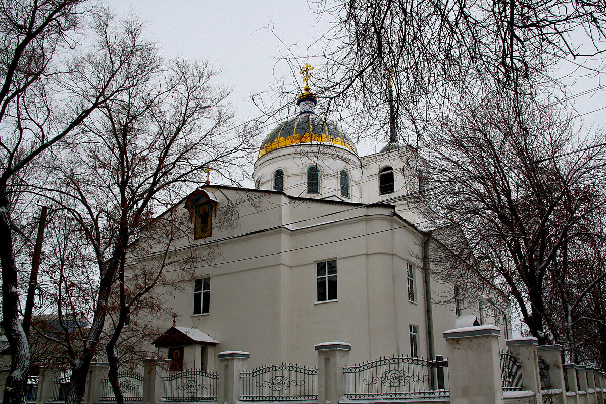 Вознесенский собор. Самара - MILAV V