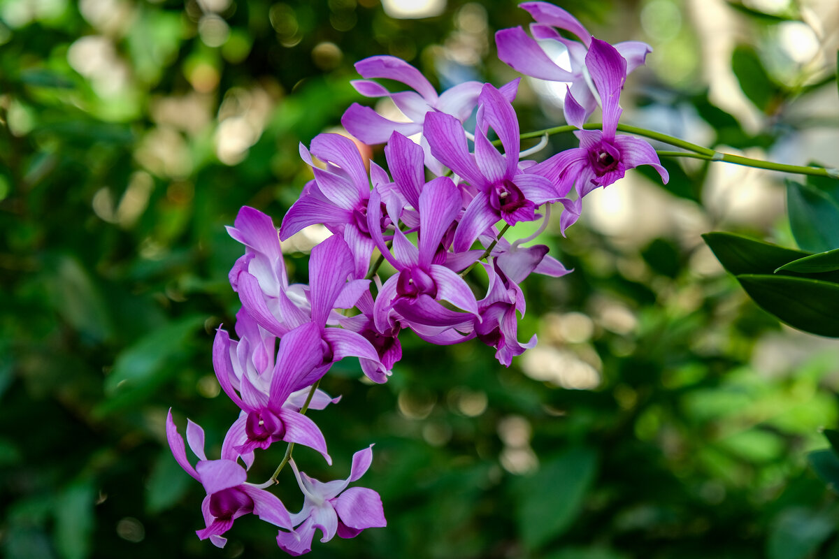 * - Dmitry i Mary S * - Dmitry i Mary S