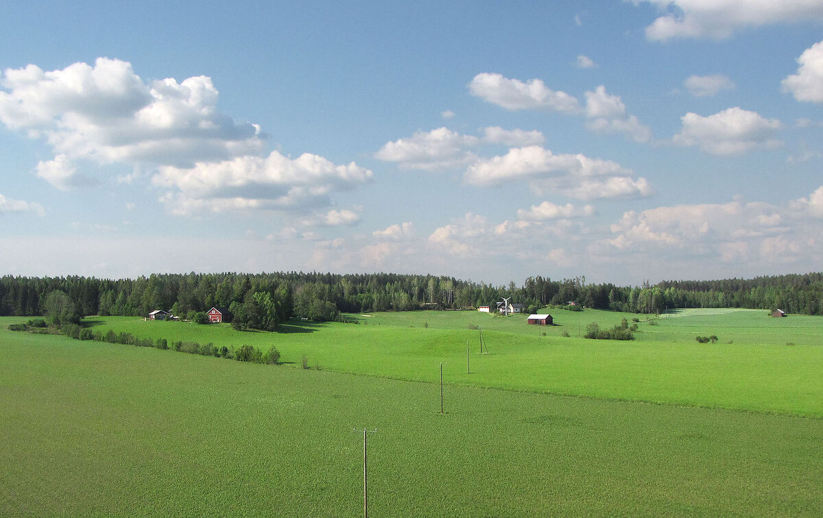 Вблизи хутора Йокила (Jokila) - Александр Ильчевский Вблизи хутора Йокила (Jokila) - Александр Ильчевский