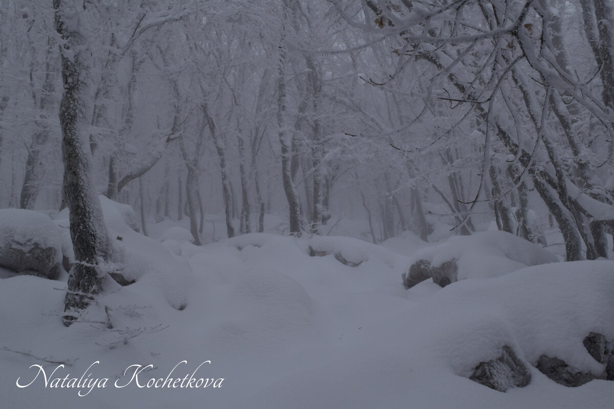 Природа Крыма - Amazing Cosmea Природа Крыма - Amazing Cosmea