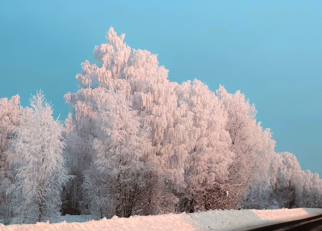 Мороз и солнце, день чудесный...... - Андрей Андросов