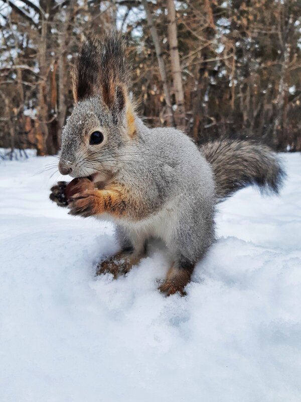 Смотри, не замерзай - Hope 