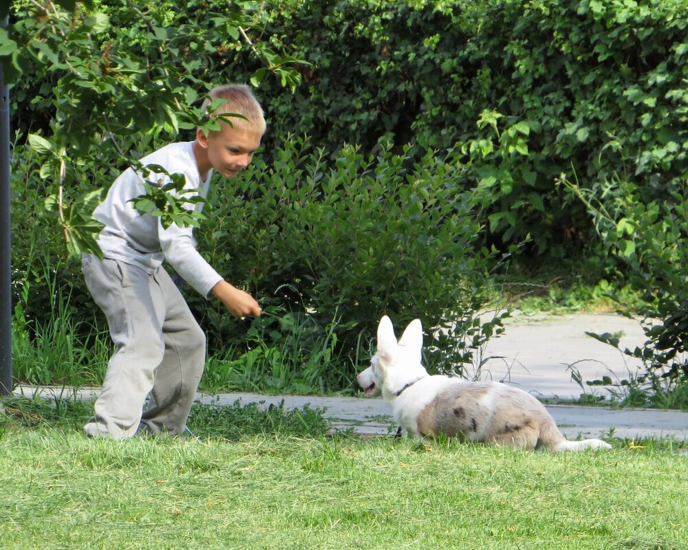 Поиграй со мной - Лариса С.