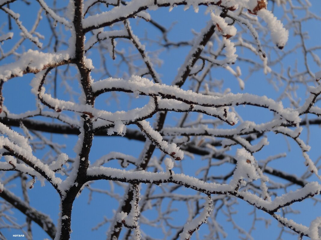 Зимние узоры - Наталья ***