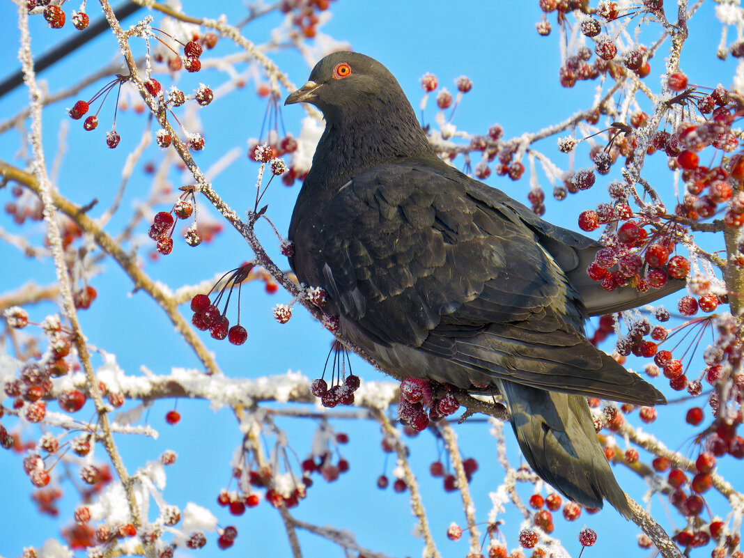 *   *   * - Уже не важно 