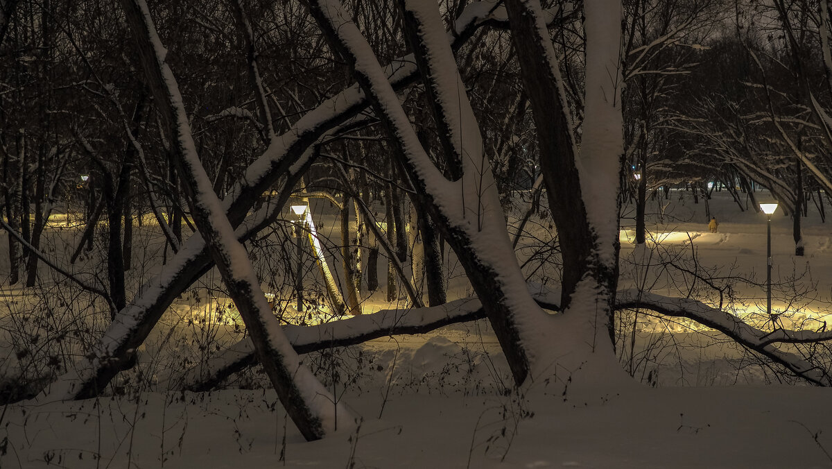 Вечер - юрий поляков