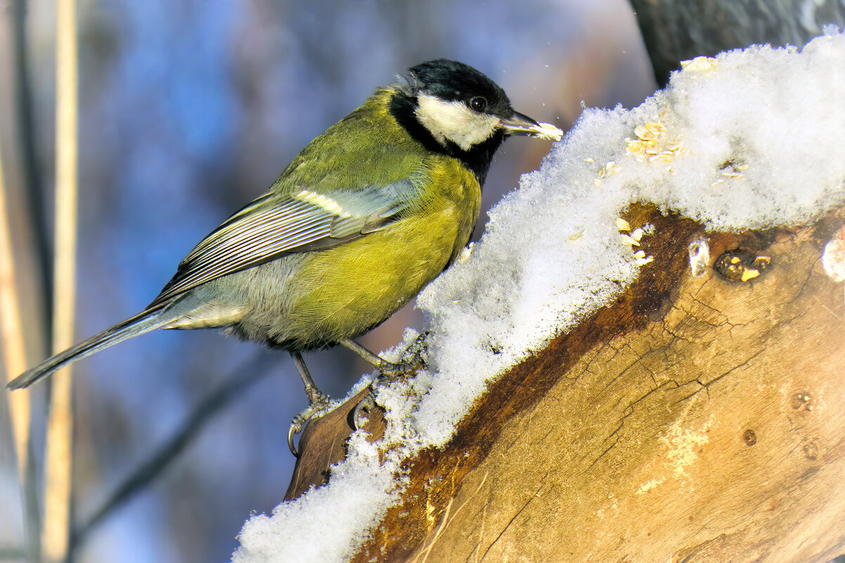*   *   * - Уже не важно 