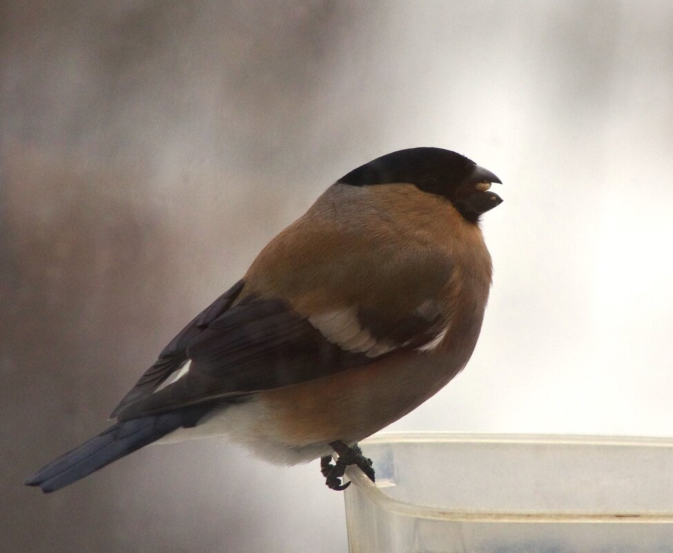 ... - Юрий Куликов