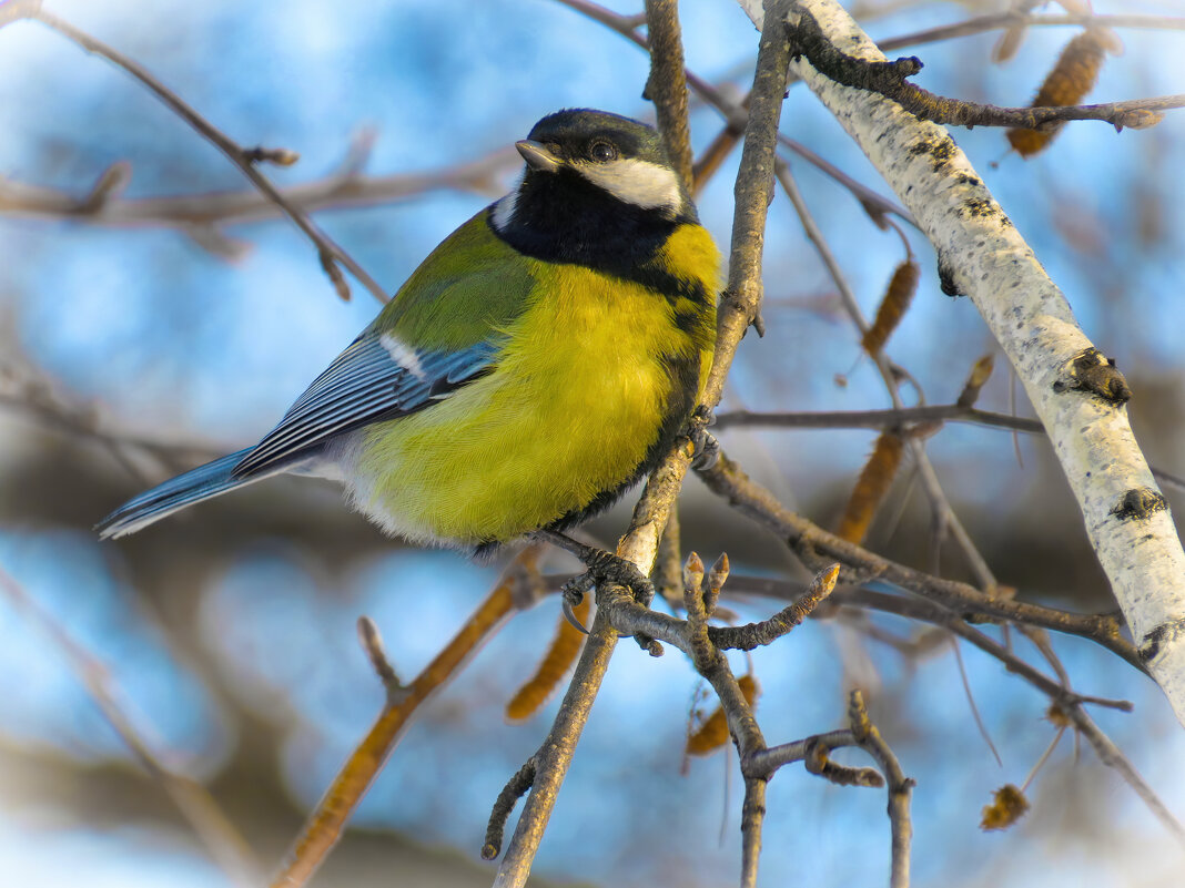 *   *   * - Уже не важно 