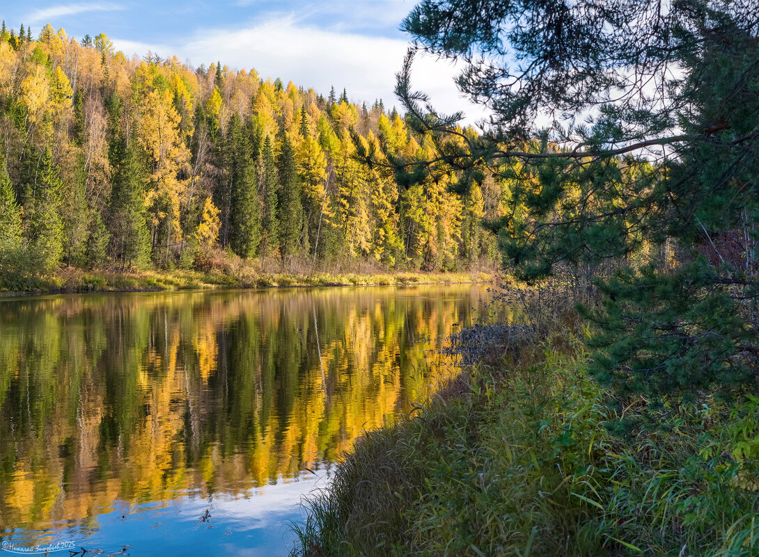 Сентябрь на реке Ухта. Республика Коми. - Николай Зиновьев