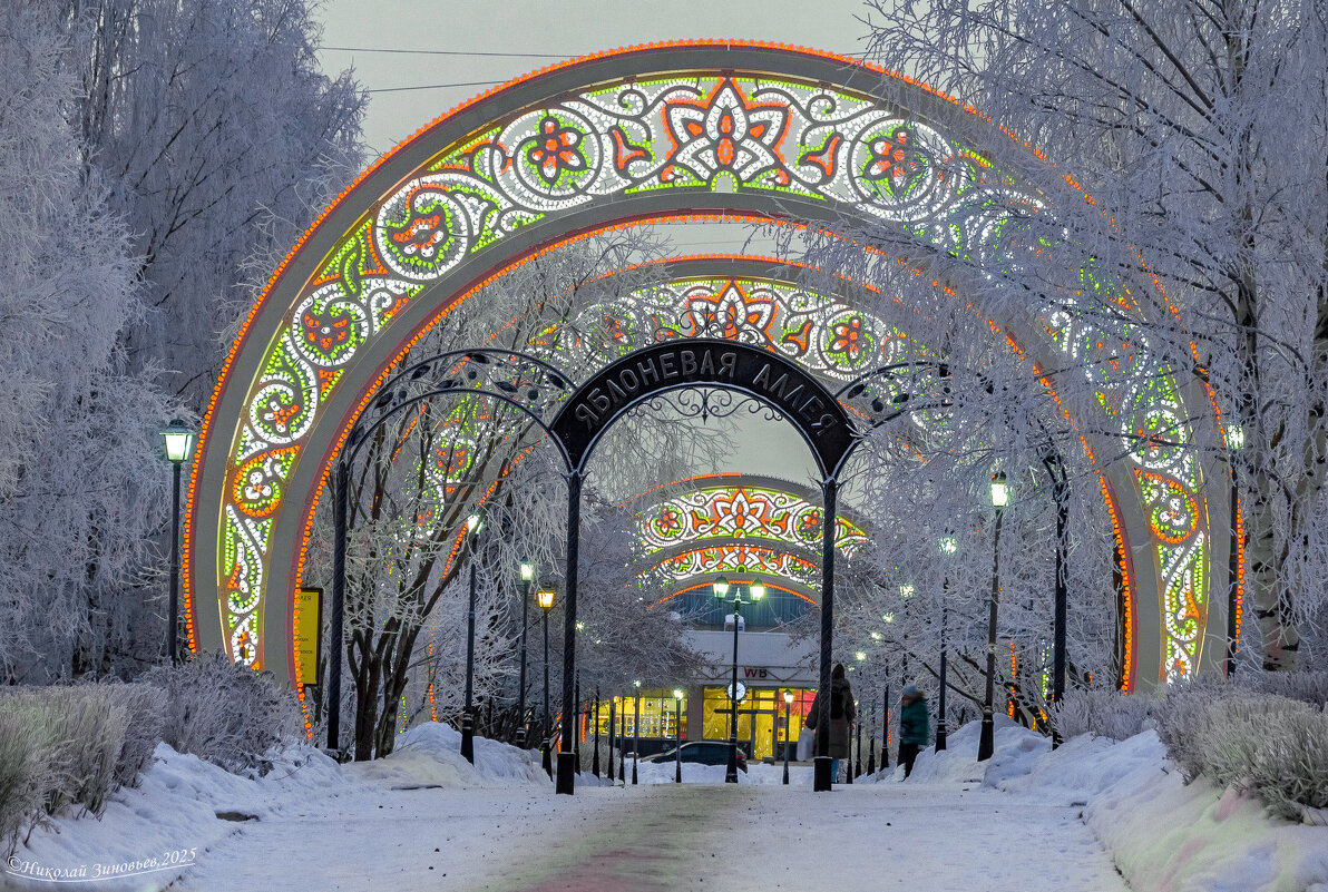 Яблоневая аллея зимой. Ухта. - Николай Зиновьев