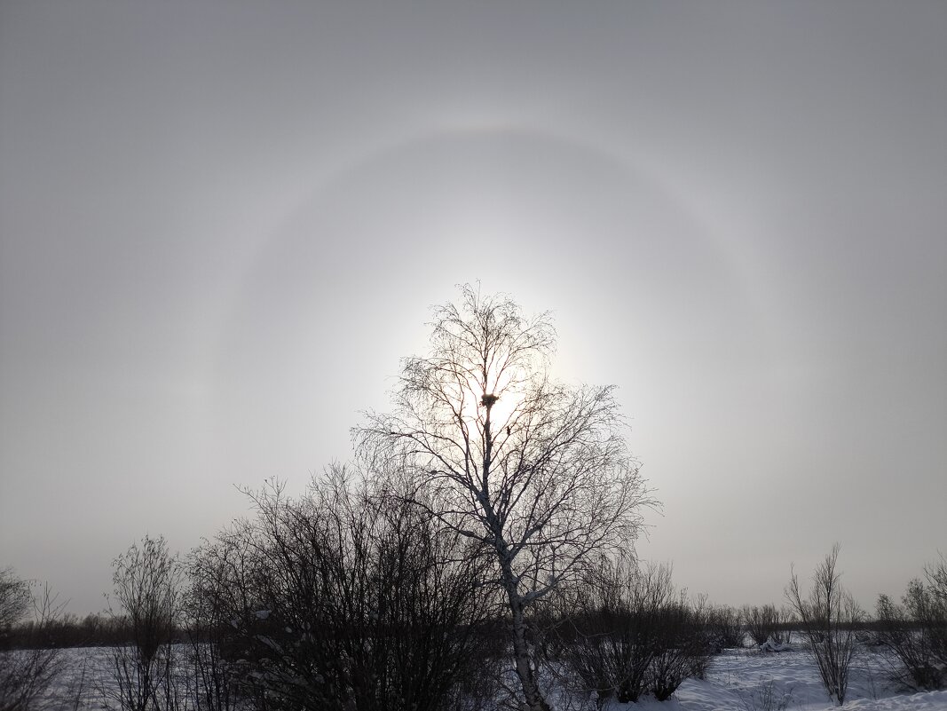 Гало - Anna Ivanova